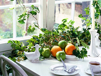 Fruits, Food, Tea, Plates, Cymbals HD wallpaper