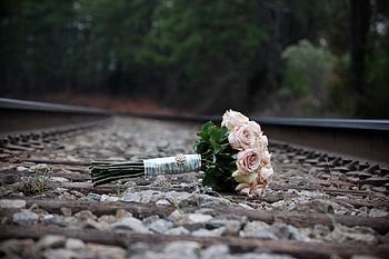 Bouquet, gentle, graphy, jewelry, nice, rose, flower, trees, , road, roses, elegantly, beautiful, celebration, pink, wedding, pretty, cool, romantic, flowers, lovely, forest, bride HD wallpaper