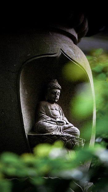 Gautam Statue, Lord Buddha HD phone wallpaper