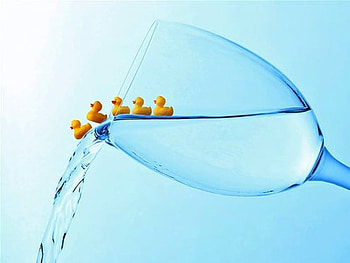 Five Ducks, cool, in glass HD wallpaper