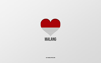 I Love Malang, Indonesian cities, Day of Malang, gray background, Malang, Indonesia, Indonesian flag heart, favorite cities, Love Malang HD wallpaper