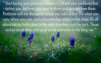 Problems, Fields, Flowers, Nature, Quotes, Thoughts, Words HD wallpaper