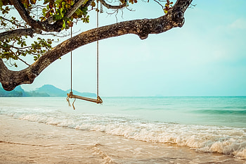Swing at beach, Swing, nature, tree, beach HD wallpaper