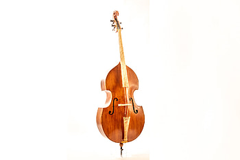 Thomas Andres double basses, Two neck Viennese bass, No treble, Bass of the week HD wallpaper