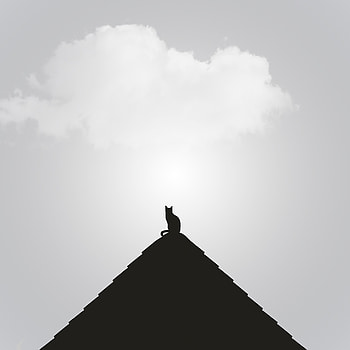 Silhouette, minimal, cat, rooftop HD phone wallpaper