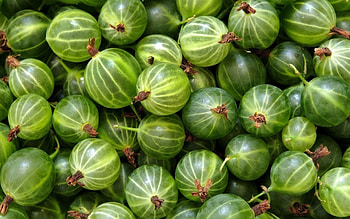Food, Background, Gooseberry, Berry HD wallpaper