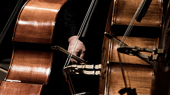 String bass, UCLA Herb Alpert School of Music, Educational institution, Bassist's haven HD wallpaper