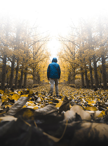 Loneliness, Alone, Autumn, Miscellanea, Miscellaneous, Lonely, Hood HD phone wallpaper