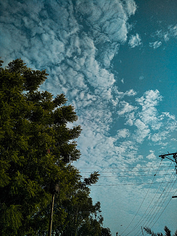 Tree And The Clouds, cloud, sky HD phone wallpaper