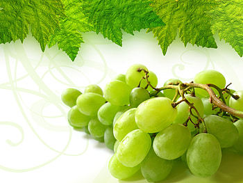Grapes, Food, Sheet, Leaf, Bunch HD wallpaper