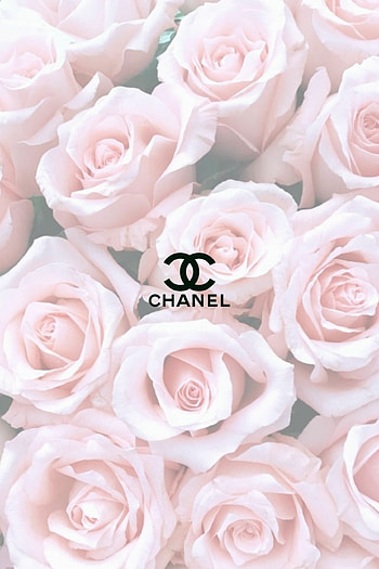 Chanel floral , resolution, Exquisite details, Graceful designs HD phone wallpaper