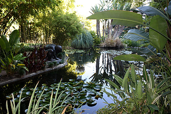 Nature, Leaves, Water Lilies, Vegetation, Statue, Pond HD wallpaper