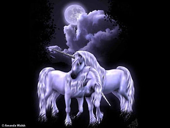some kinda wonderful, night, moon, dark HD wallpaper