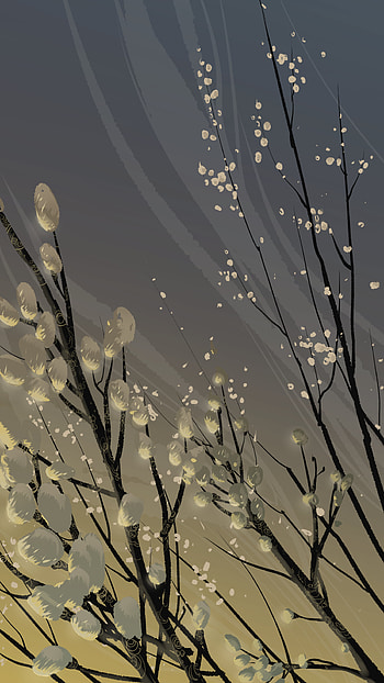 Flowers, Art, Vector, Branches, Bloom, Flowering, Pussy Willow, Verba HD phone wallpaper