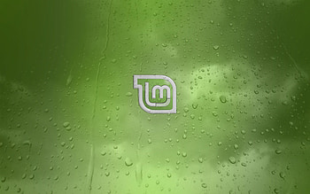 Linux Mint HD wallpaper
