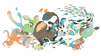 Splatoon : Vibrant Ink and Ocean Life Fusion, Splatoon HD wallpaper