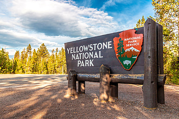 Yellowstone bison attack, CNN travel news HD wallpaper