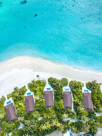 Nature, Sea, Beach, Palms, Building, View From Above HD phone wallpaper