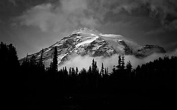 Majestic black and white landscape of Mount Rainier surrounded by fog and trees. HD wallpaper