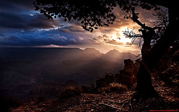landscape, top, sun, tree HD wallpaper