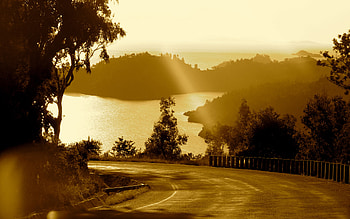 Sunny Road, light, landscape, view, road, beautiful, nature, amazing, sun HD wallpaper