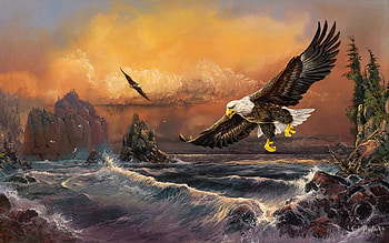 Fishing the Surf, sunset, artwork, sea, waves, painting, clouds, sky, eagles HD wallpaper