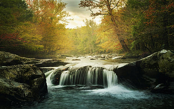 Early Autumn in Greenbrier Cove - Great Smoky Mountains National Park, river, leaves, Tennessee, colors, trees, cascade, forest, usa, fall HD wallpaper