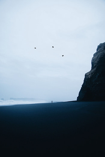 Nature, Birds, Waves, Beach, Rock, Silhouette, Loneliness, Storm HD phone wallpaper