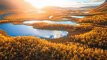 Aerial View Of Green Yellow Autumn Trees Forest Lake Under Blue Sky With Sunlight Reflection On Water Autumn HD wallpaper
