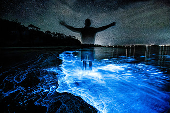 Water, Night, Dark, Silhouette, Glow, Luminescence HD wallpaper