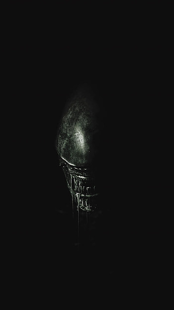 H.R. Giger, The Strain inspiration, Terrifying alien artwork, Distinctive style HD phone wallpaper