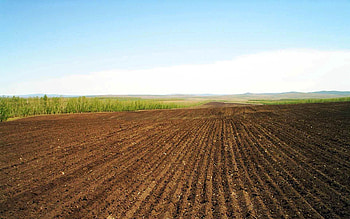 Nature, Lines, Field, Rows, Ranks, Agriculture, Arable Land HD wallpaper