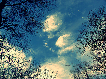 Clouds, trees, sky, nature HD wallpaper