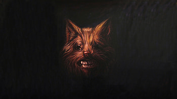 Swans Band HD wallpaper