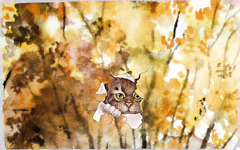 Autumnal . Broken, autumn, cat, broken HD wallpaper