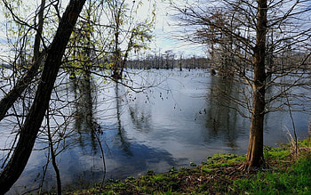 wild2, wild, lake HD wallpaper