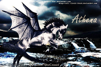 Athena, gre, gger, hrhr, ger, erga, f HD wallpaper