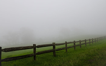 Nature, Fog, Field, Fence, Haze, Fencing, Enclosure HD wallpaper