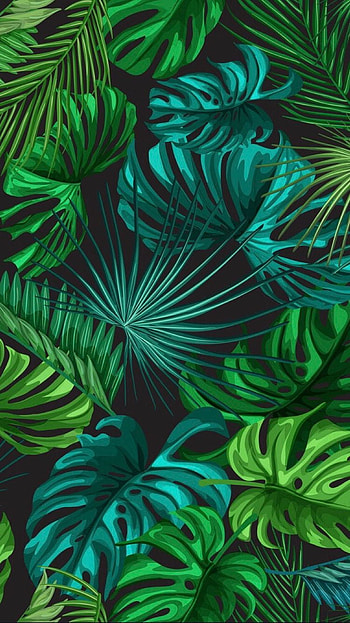 Bushes vibes, green, terrestrial_plant HD phone wallpaper