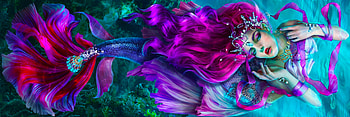 Purple Mermaid, mermaid, art, , girl, woman, purple, digital, pretty, fantasy, siren HD wallpaper