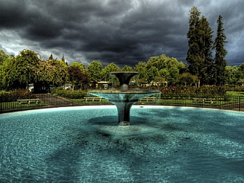 Rose Garden Fountain, rose, garden, fountain HD wallpaper