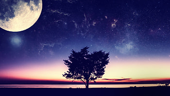 Fantasy Moon HD wallpaper