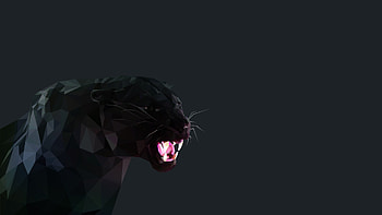 Roar, Black Panthers HD wallpaper