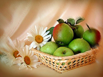 Still life, beautiful, fruits, faisies, nice, basket, apples, pretty, green, flowers, lovely HD wallpaper