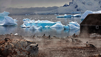 Antarctica Travels, Beach paradise, Winter retreat, Breathtaking HD wallpaper