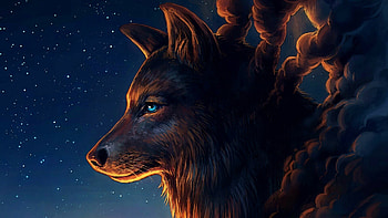 Wolf in , Striking colors, Dynamic pose, Fierce predator HD wallpaper