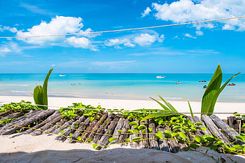Beach vacation, Tropical, Sand, Shore, Sea HD wallpaper