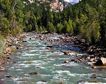 Animas River, trees, river, water, rock HD wallpaper