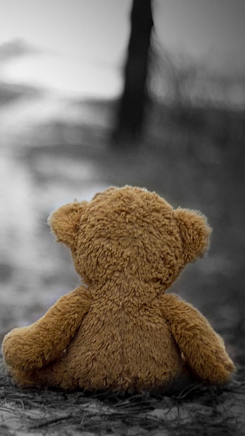 Teddy Wale, Black And White, Background HD phone wallpaper
