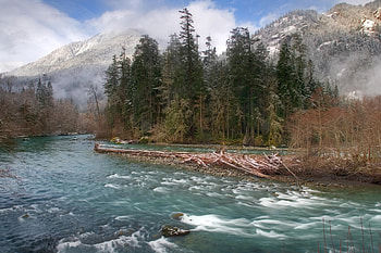 Olympic National Park , Washington State travels HD wallpaper